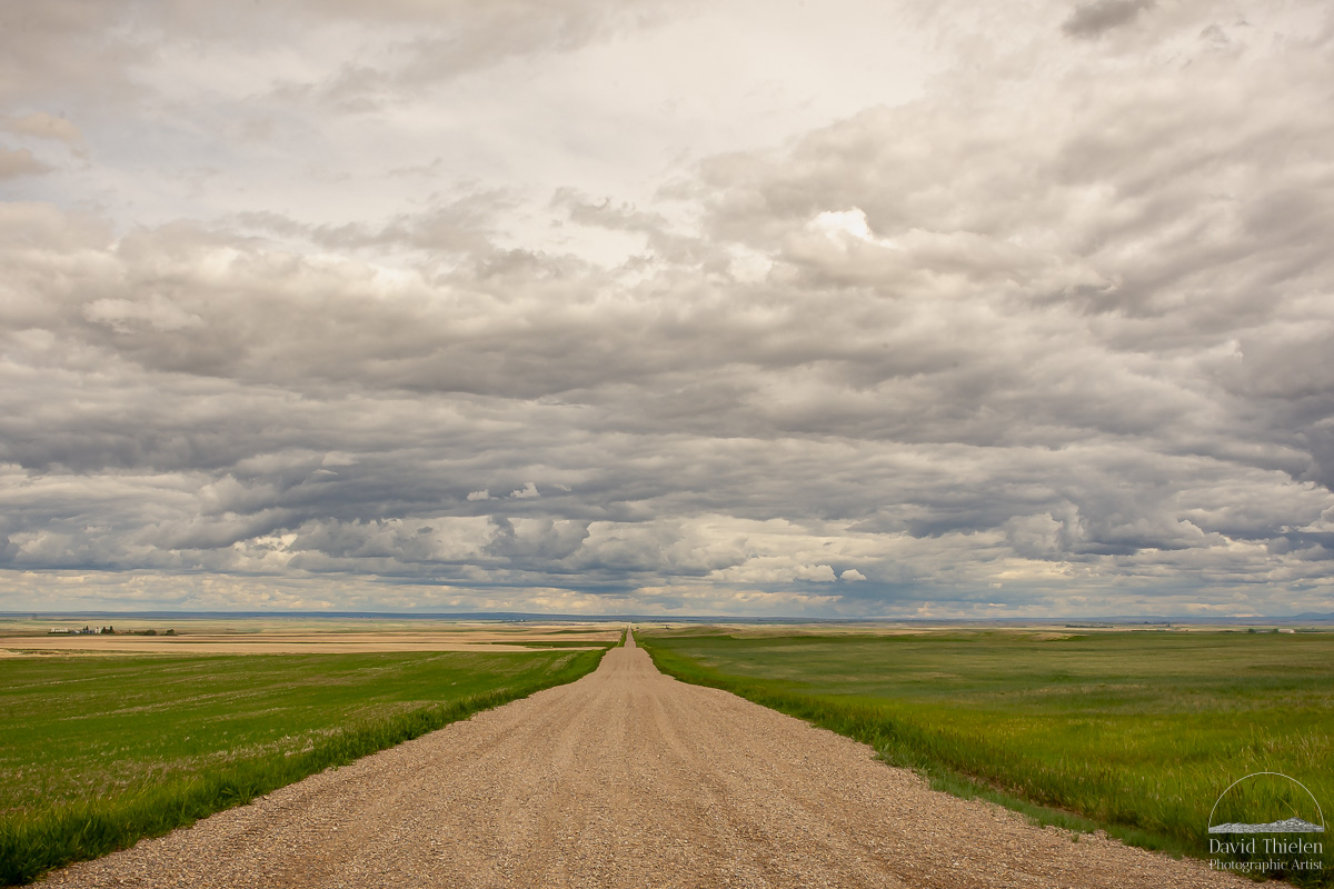 Gravel-Road-Under-Cloudy-Sky-in-Southern-Alberta-June-2022 A long gravel road stretches into the distance beneath a cloudy prairie sky in Southern Alberta, with green crops growing on either side. The road runs across the bottom of the image, while dark clouds fill the sky, hinting at coming rain.