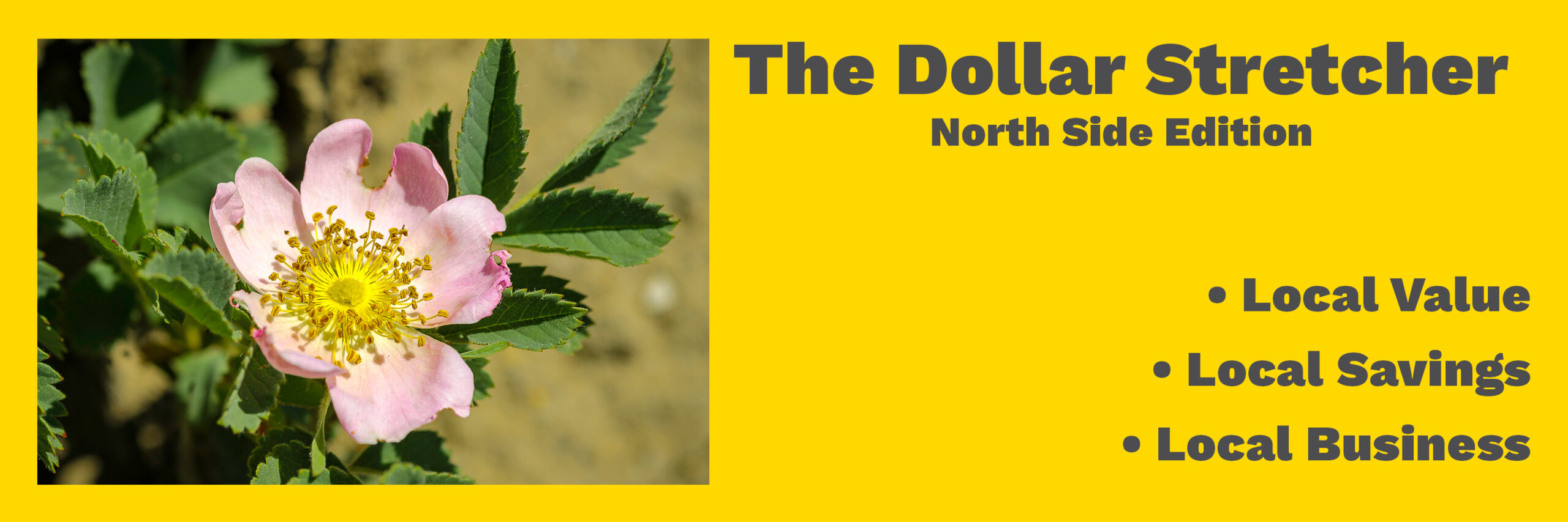 Front Page -The Dollar Stretcher - North Side Edition